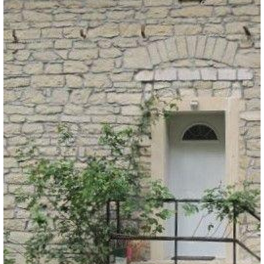  Annonces ALBIGNY : Maison / Villa | JASSANS-RIOTTIER (01480) | 290 m2 | 470 000 &euro; 