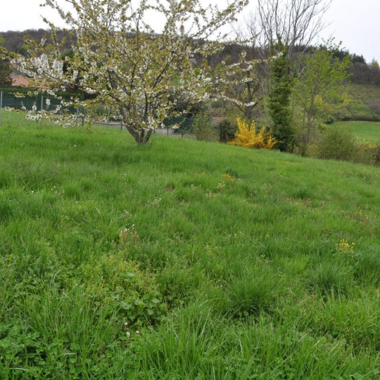  Annonces ALBIGNY : Terrain | SAINT-DIDIER-AU-MONT-D'OR (69370) | 0 m2 | 620 000 &euro; 