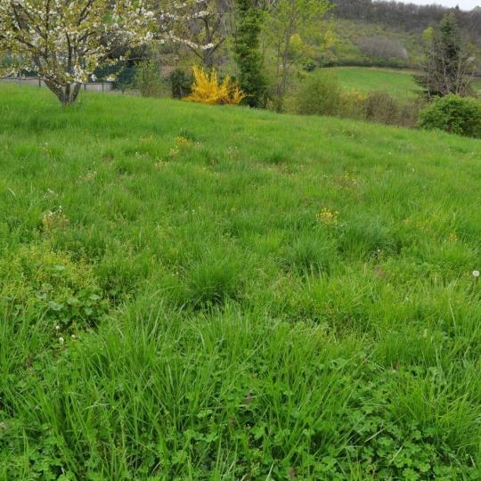  Annonces ALBIGNY : Terrain | SAINT-DIDIER-AU-MONT-D'OR (69370) | 0 m2 | 620 000 &euro; 