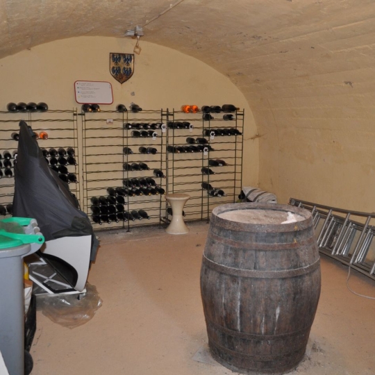  Annonces ALBIGNY : Maison / Villa | LUCENAY (69480) | 242 m2 | 595 000 &euro; 