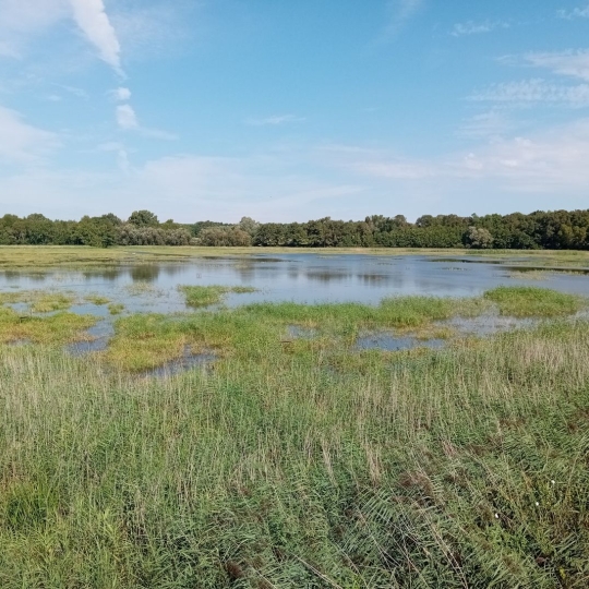  Annonces ALBIGNY : Terrain | MIONNAY (01390) | 0 m2 | 1 426 000 &euro; 