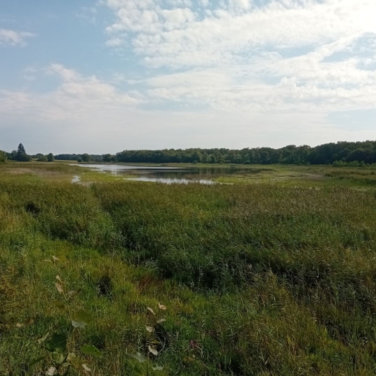  Annonces ALBIGNY : Terrain | MIONNAY (01390) | 0 m2 | 1 426 000 &euro; 