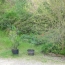  Annonces ALBIGNY : Maison / Villa | JASSANS-RIOTTIER (01480) | 290 m2 | 470 000 &euro; 