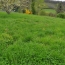  Annonces ALBIGNY : Terrain | SAINT-DIDIER-AU-MONT-D'OR (69370) | 0 m2 | 620 000 &euro; 
