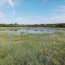 Annonces ALBIGNY : Terrain | MIONNAY (01390) | 0 m2 | 1 426 000 &euro; 