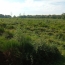  Annonces ALBIGNY : Terrain | MIONNAY (01390) | 0 m2 | 1 426 000 &euro; 