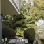  Annonces ALBIGNY : Appartement | LYON (69008) | 60 m2 | 280 820 &euro; 