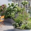  Annonces ALBIGNY : Appartement | LYON (69003) | 48 m2 | 199 900 &euro; 