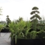  Annonces ALBIGNY : Appartement | TASSIN-LA-DEMI-LUNE (69160) | 85 m2 | 542 000 &euro; 