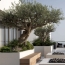  Annonces ALBIGNY : Appartement | TASSIN-LA-DEMI-LUNE (69160) | 130 m2 | 815 000 &euro; 