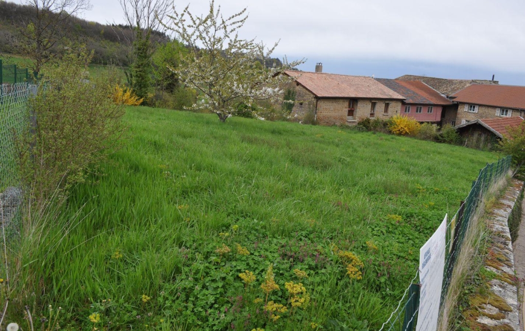 Annonces ALBIGNY : Terrain | SAINT-DIDIER-AU-MONT-D'OR (69370) | 0 m2 | 620 000 &euro; 