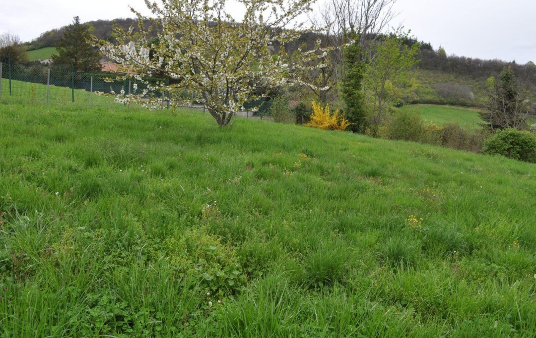 Annonces ALBIGNY : Terrain | SAINT-DIDIER-AU-MONT-D'OR (69370) | 0 m2 | 620 000 &euro; 
