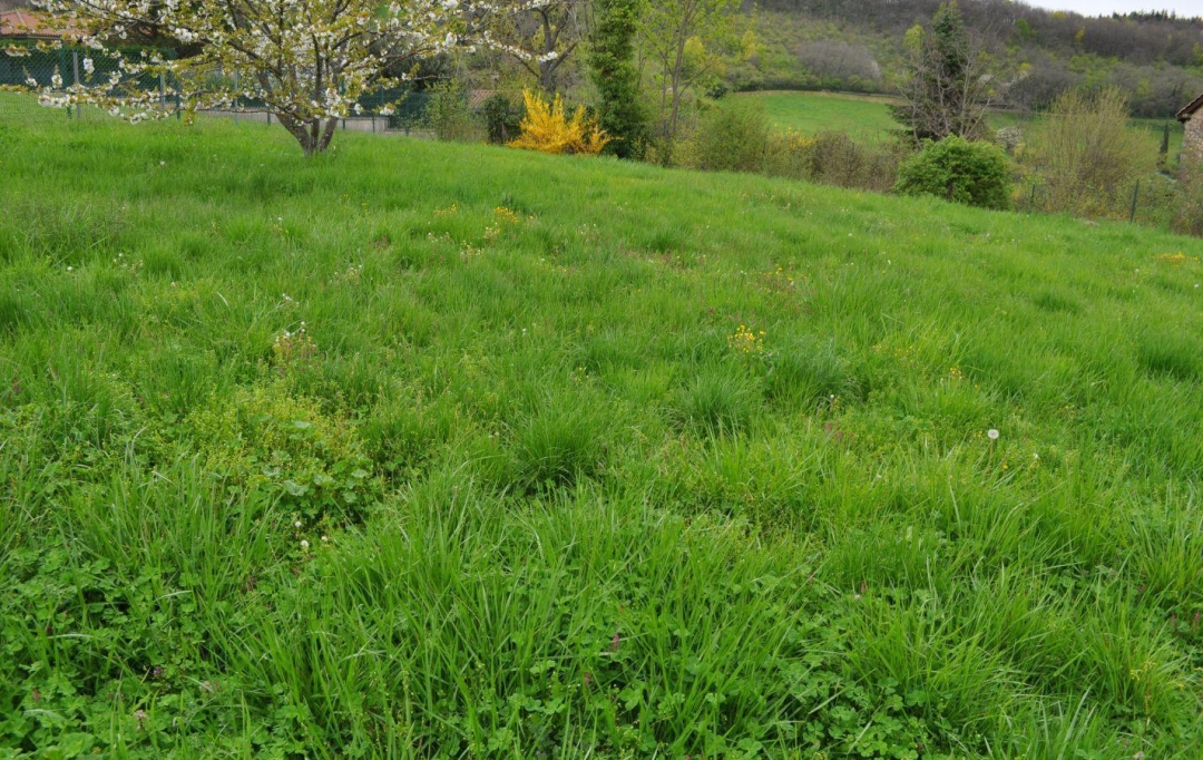 Annonces ALBIGNY : Terrain | SAINT-DIDIER-AU-MONT-D'OR (69370) | 0 m2 | 620 000 &euro; 