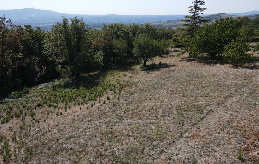 Annonces ALBIGNY : Terrain | MARCY (69480) | 0 m2 | 229 000 &euro; 