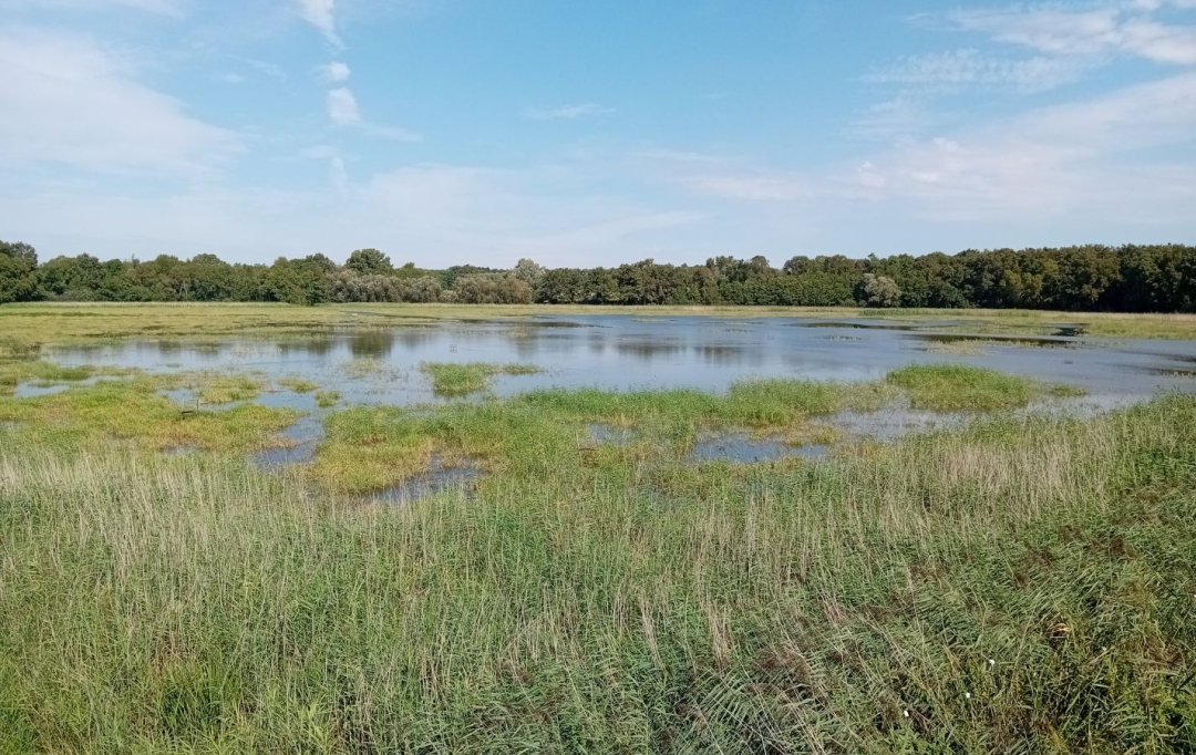 Annonces ALBIGNY : Terrain | MIONNAY (01390) | 0 m2 | 1 426 000 &euro; 