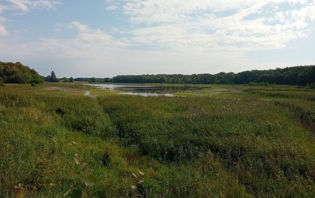 Annonces ALBIGNY : Terrain | MIONNAY (01390) | 0 m2 | 1 426 000 &euro; 