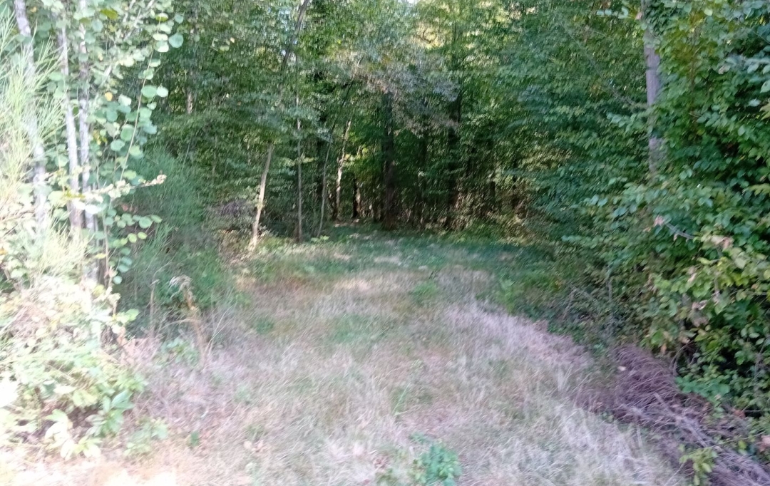 Annonces ALBIGNY : Terrain | MIONNAY (01390) | 0 m2 | 1 426 000 &euro; 
