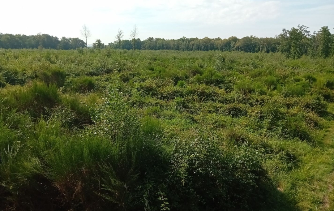 Annonces ALBIGNY : Terrain | MIONNAY (01390) | 0 m2 | 1 426 000 &euro; 