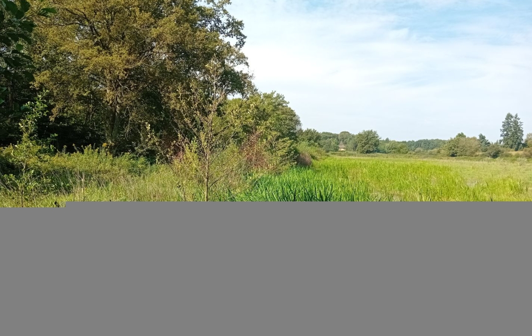 Annonces ALBIGNY : Terrain | MIONNAY (01390) | 0 m2 | 1 426 000 &euro; 