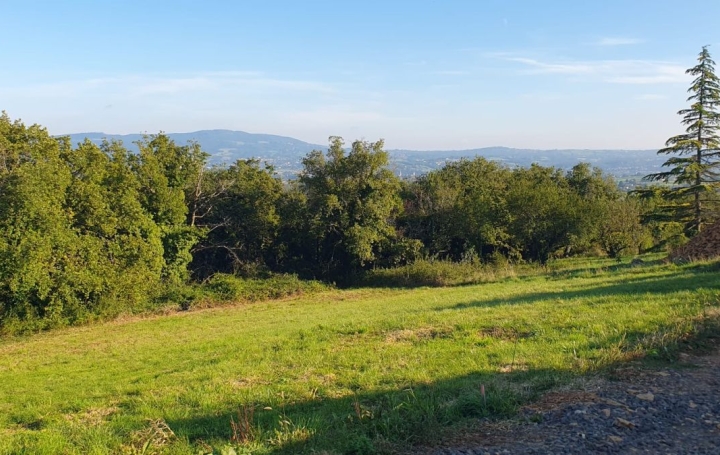  Annonces ALBIGNY Terrain | MARCY (69480) | 0 m2 | 320 000 € 