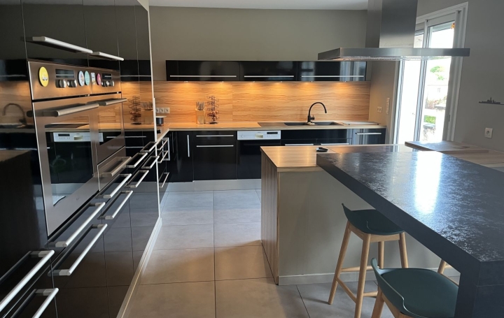  Annonces ALBIGNY Maison / Villa | FRANS (01480) | 225 m2 | 595 000 € 