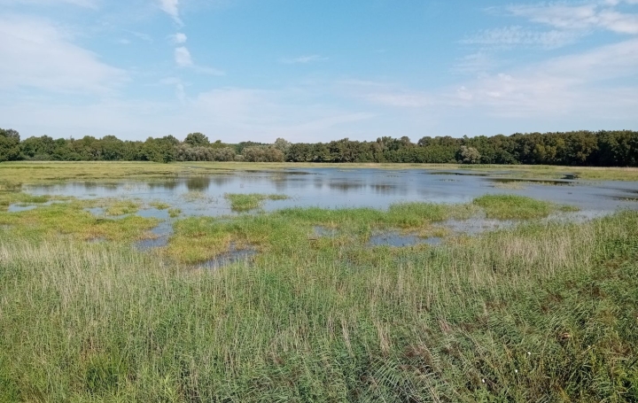  Annonces ALBIGNY Domaines / Propriétés | MIONNAY (01390) | 0 m2 | 1 426 000 € 