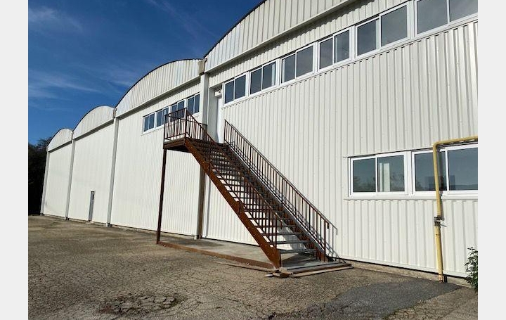 Annonces ALBIGNY : Local / Bureau | LYON (69001) | 2 600 m2 | 14 613 &euro; 